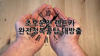 초보운전 렌트카 완전정복!🚗🚦꿀팁 대방출