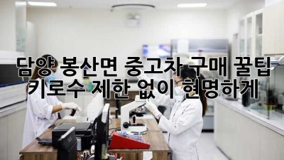 담양 봉산면 중고차 구매 꿀팁🍯: 키로수 제한 없이 현명하게!