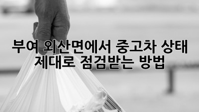 부여 외산면에서 중고차 상태, 제대로 점검받는 방법