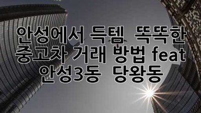 안성에서 득템?! ✨ 똑똑한 중고차 거래 방법 (feat. 안성3동 & 당왕동)